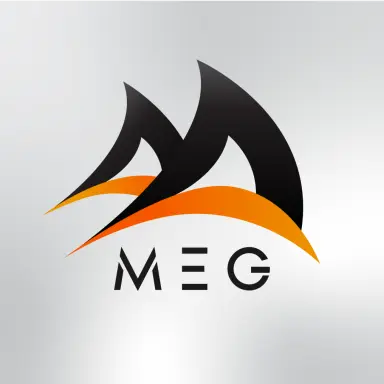 MEG